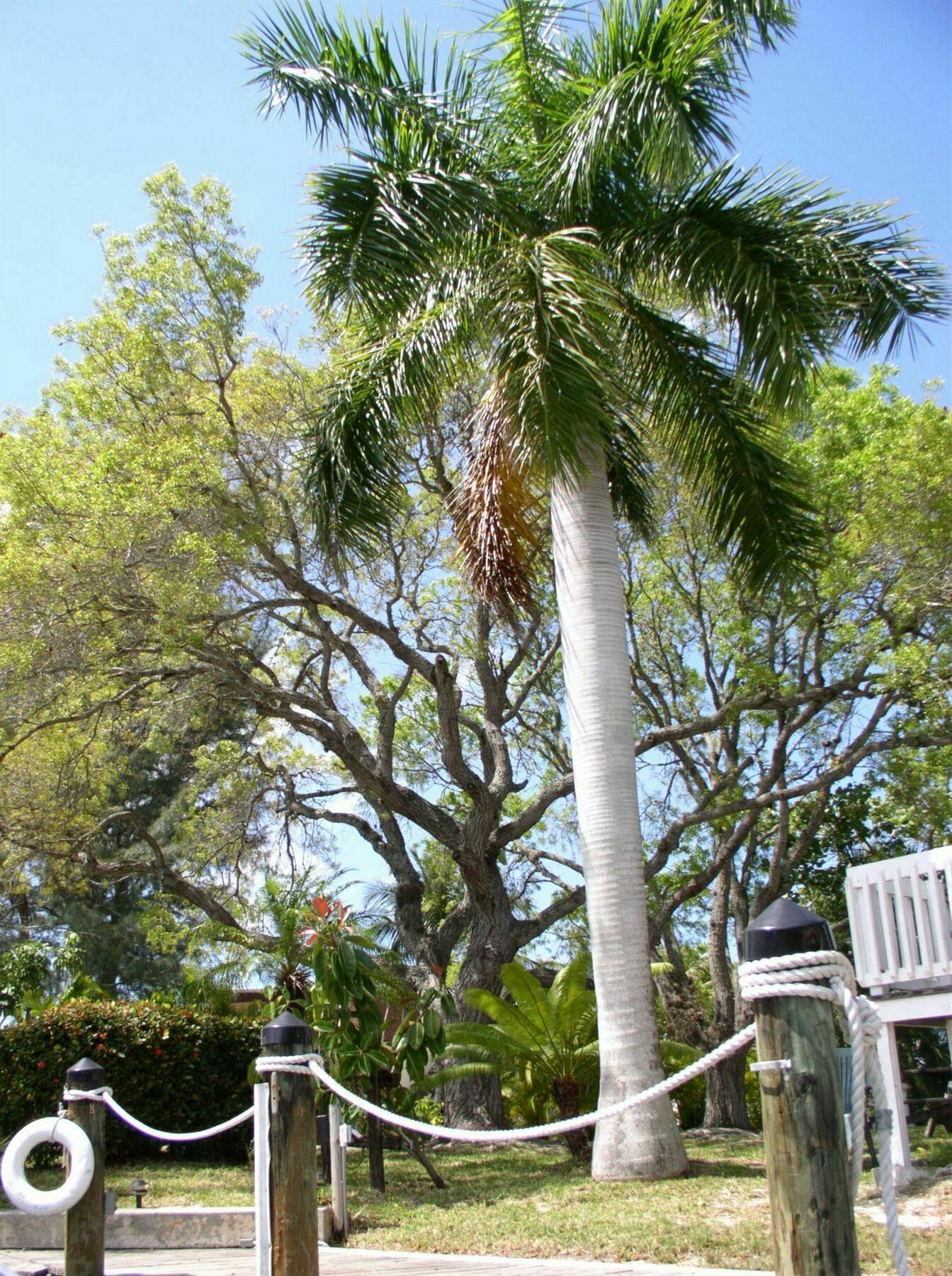 Hidden Harbor Suites Fort Myers Beach Exterior photo